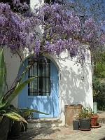 Spring - Entrance to Room with Washing Machine